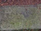 image of grave number 797272